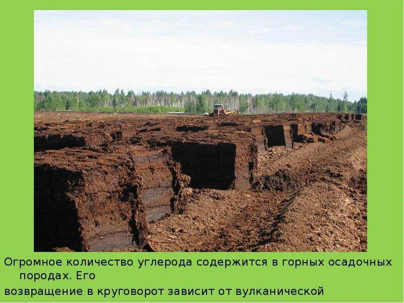 Добыча торфа в мире. Добыча торфа. торфяные разработки. залежи торфа. торфяные отложения.