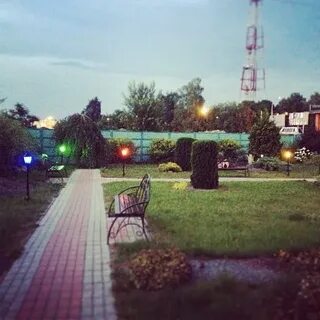 Кафе березка березовая роща
