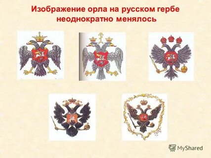 На многих гербах есть орла