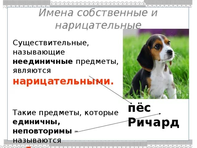 Найти имена собственные в тексте. Найти имена собственные в тексте