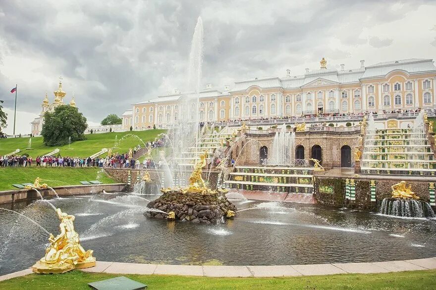Петергоф 415 петергоф. Петергоф 415 петергоф