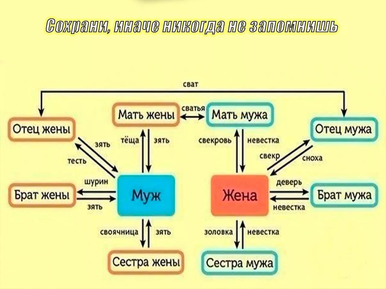 Схема родственных связей. Кто кому кем приходится. Названия родственников. Схема родственных отношений в семье.