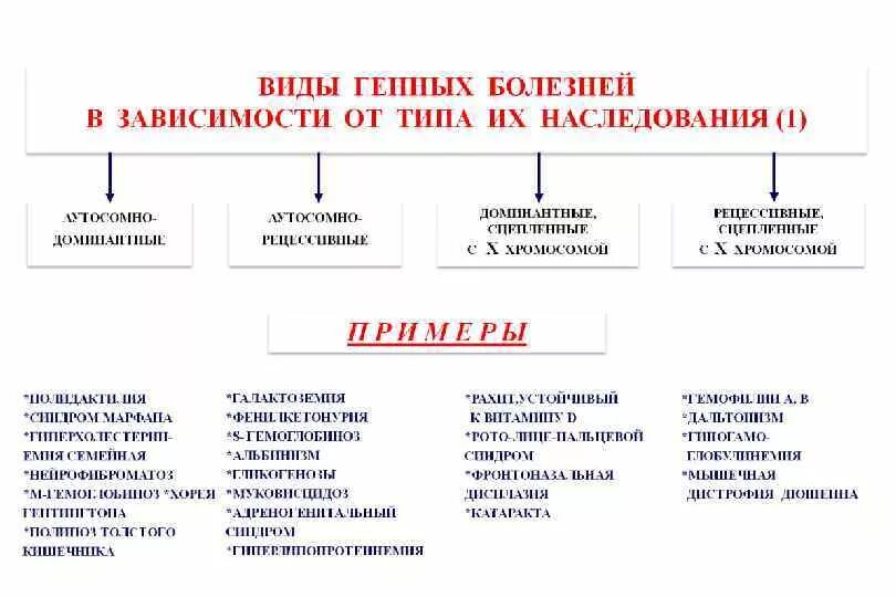 Генные и хромосомные заболевания. Наследственные заболевания по типу наследования схема. Генетическая классификация наследственных болезней таблица. Классификация генных болезней по типу наследования. Классификация генных болезней схема.