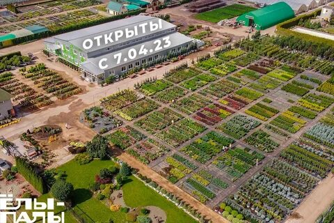 Питомник истра