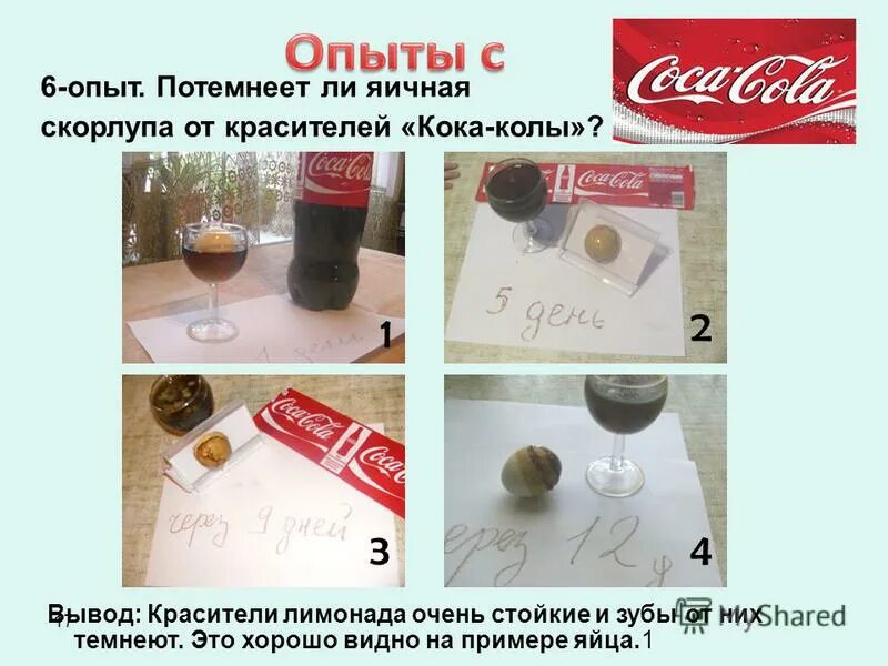 кока кола краситель. кошениль краситель кока кола. краситель в кока коле. из чего состоит кока кола. кошениль кармин кока кола.