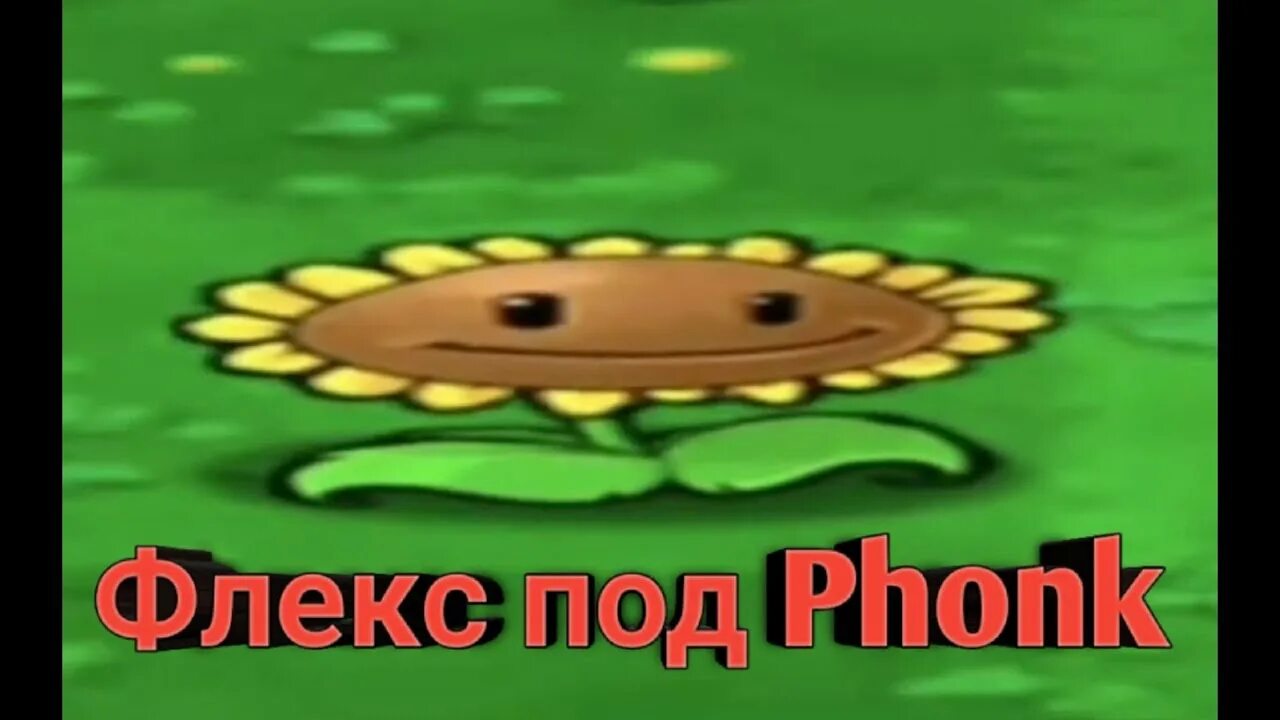Гуль подсолнух. Подсолнух растения против зомби мем. подсолнух дед инсайд зомби против растений. pvz подсолнух дед инсайд. подсолнух из растения против зомби флексит.