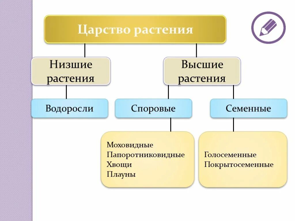 Царство растений споровые растения. Схема высшие растения споровые и семенные. Классификация высших споровых растений схема. Споровые растения низшие высшие схема.