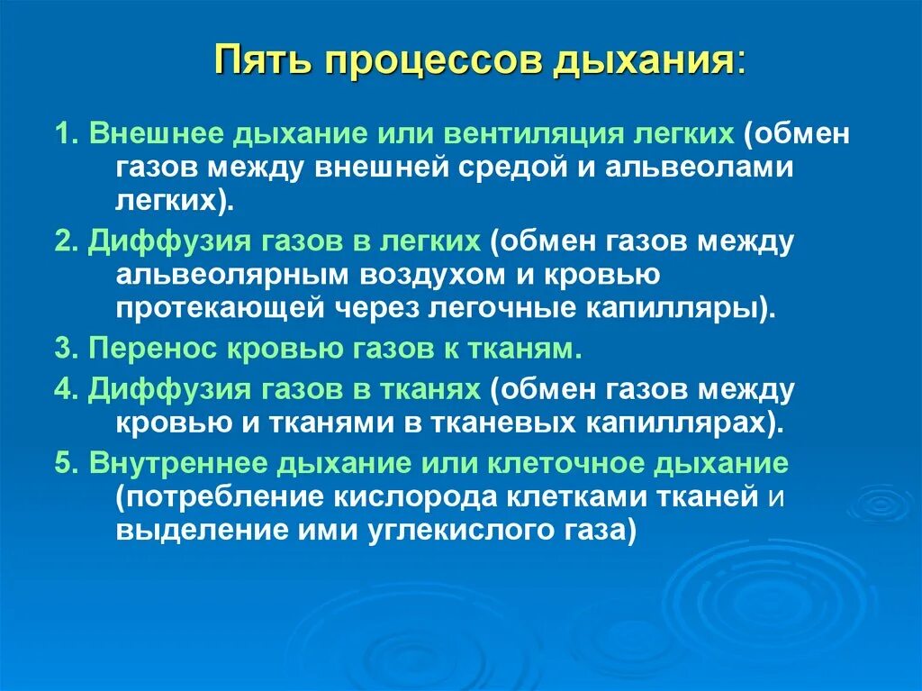 Почему изменилось дыхание. Возрастные особенности органов дыхания. Возрастные особенности строения дыхательной системы. Возрастные особенности дыхательной системы у детей. Строение органов дыхания. Возрастные особенности..