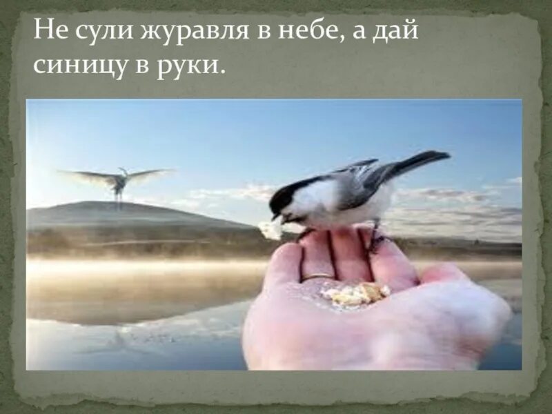 Выражение журавль в руках. Сница в руках журавль в небе. лучше синица в руках чем журавль в небе. синица в руках. синица в руках лучше журавля в небе.