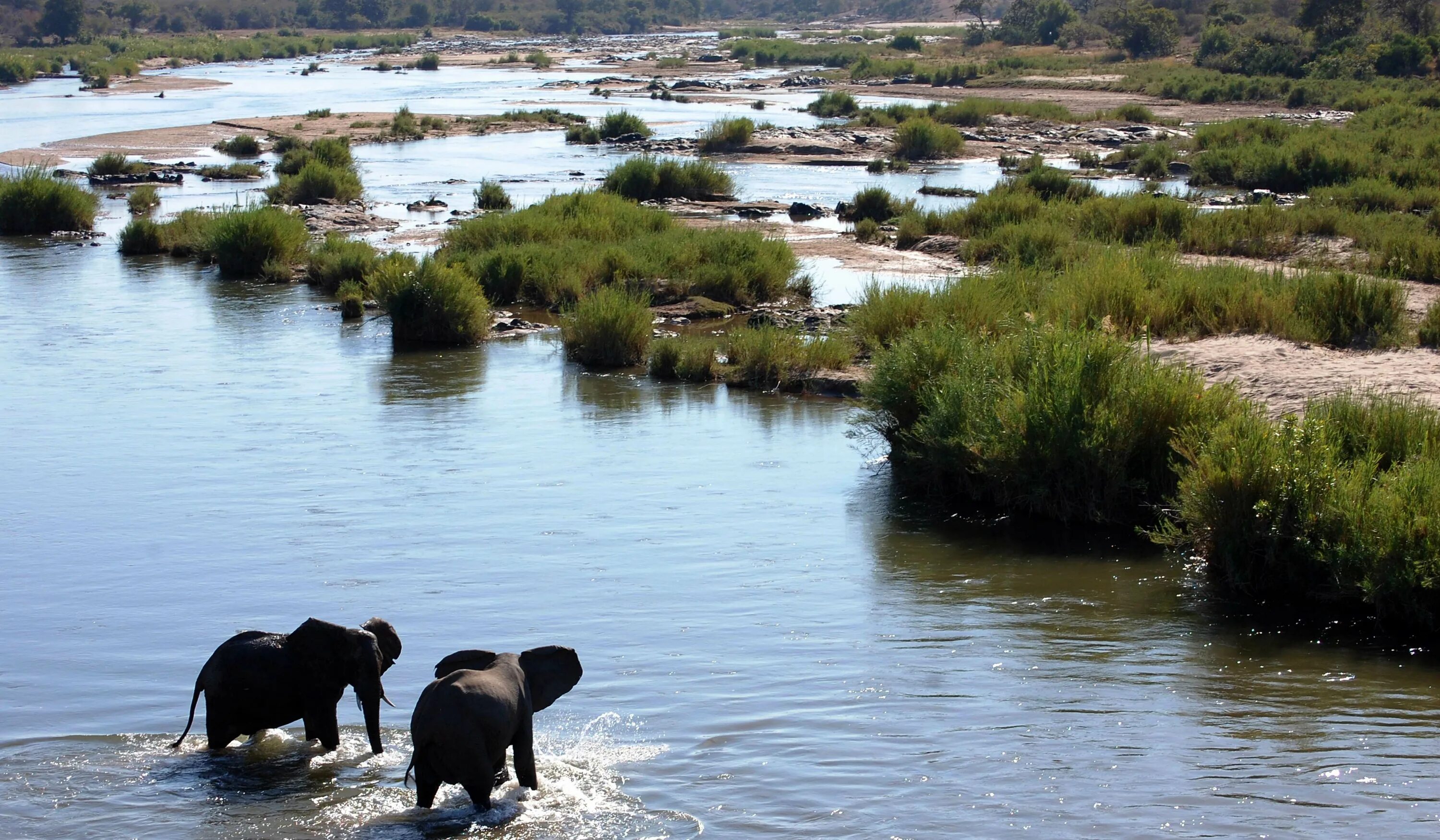 Africa river. Национальный парк Крюгера река Лимпопо. Река Лимпопо ЮАР. Парк Лимпопо ЮАР. Лимпопо река в Африке.