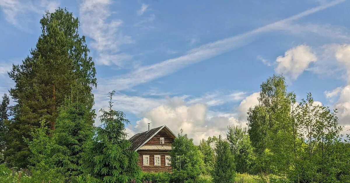 Горячего новгородская область. Висленев остров Новгородская область. Окуловский район Новгородской области. Висленев остров Окуловский район. Деревня Висленев остров Новгородская область.