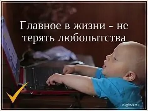 Интерес к жизни это