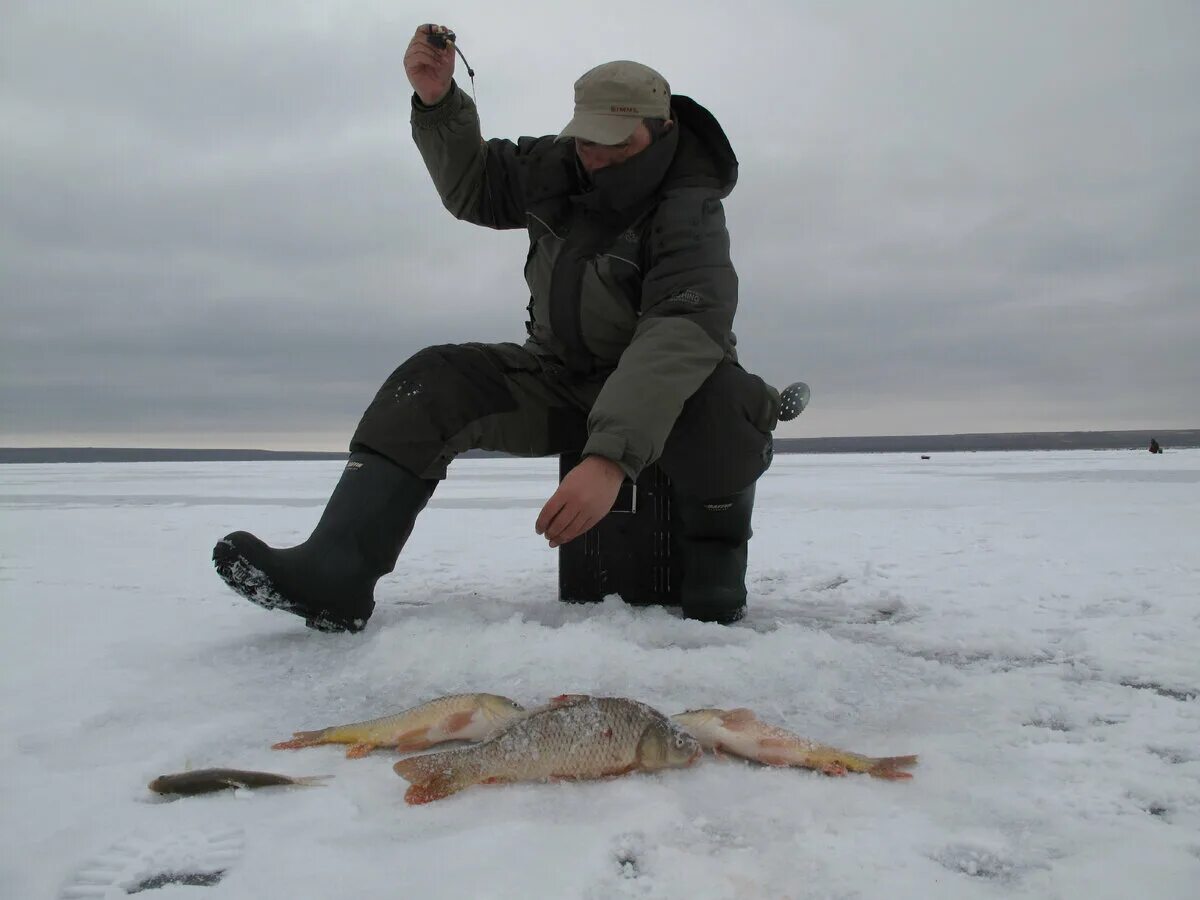 Рыболовная группа в контакте. Ловля сазана зимой. Рыбалка группа. Рыбацкая группа. Ловля сазана зимой в Волгограде.