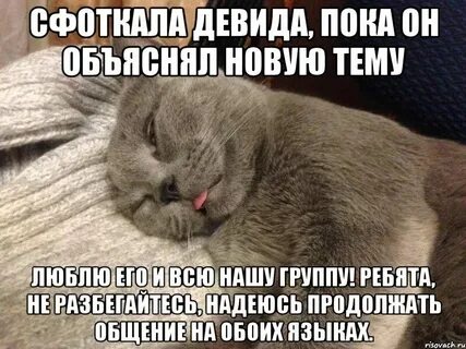 Села пока спал