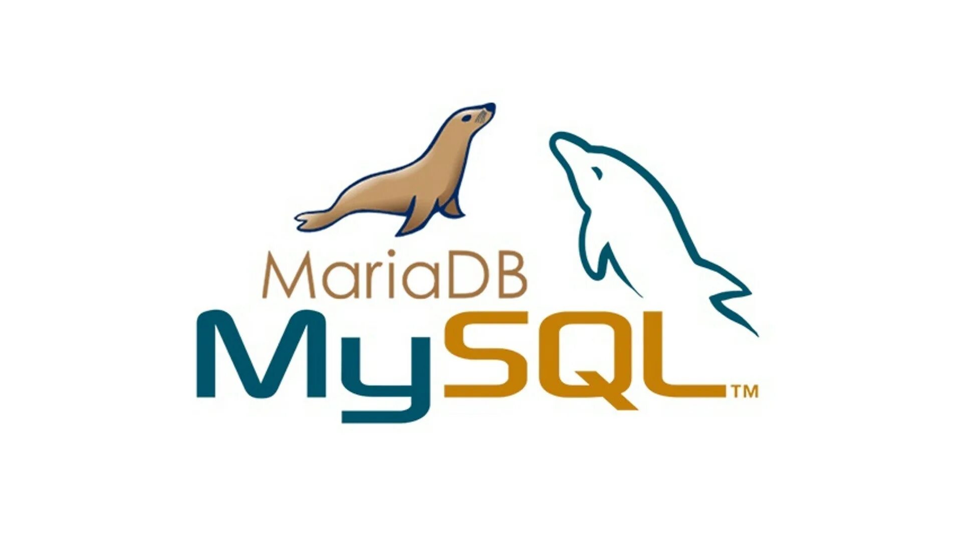 Mariadb что это. СУБД MARIADB. MYSQL MARIADB. Мy SQL. Эмблема MARIADB.