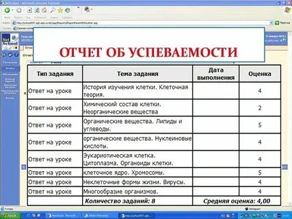 Электронный дневник нетскул 161 зеленогорск красноярский