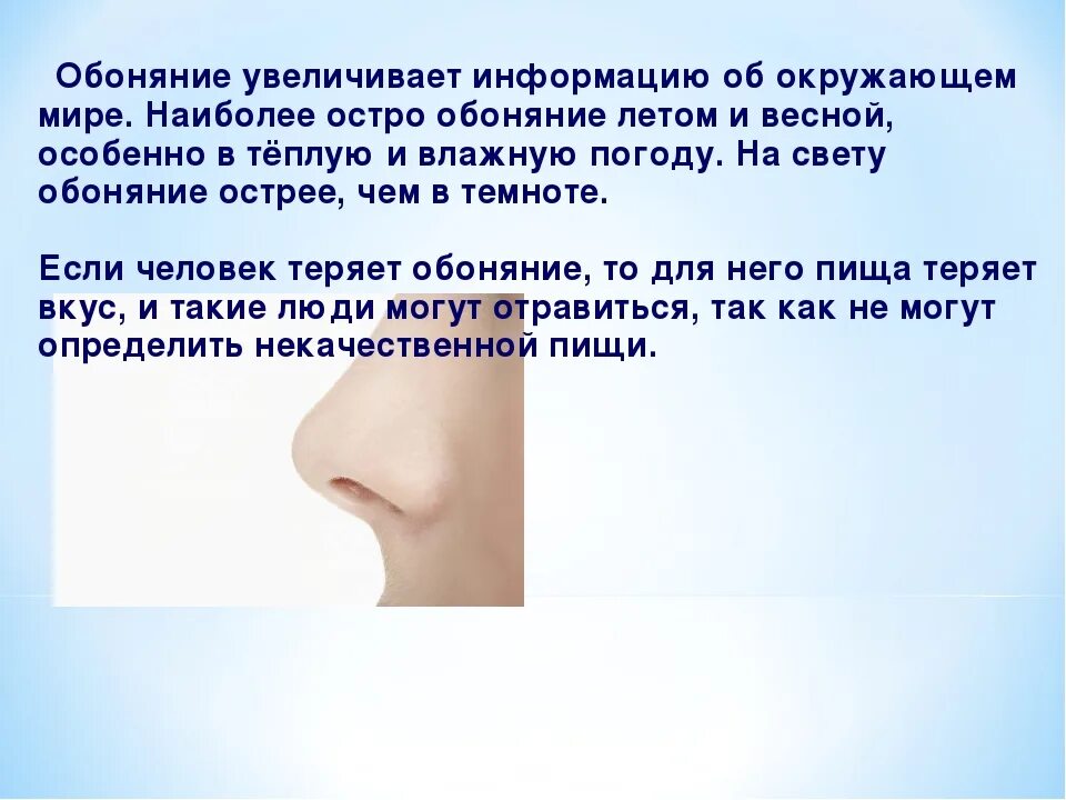 Как лечить обоняние. Обоняние. обоняние человека. нос орган обоняния. информация про обоняние.