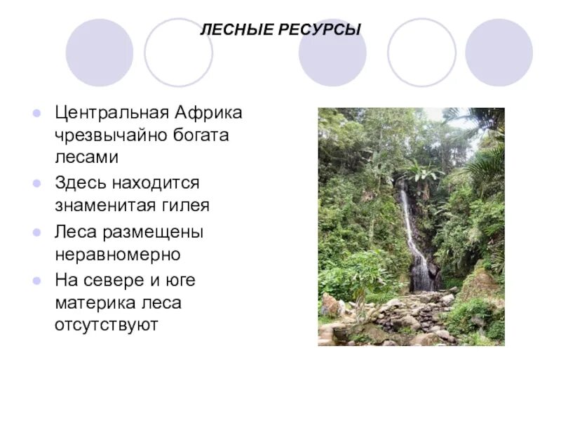 Природные условия и ресурсы тропической африки. Природные условия и ресурсы тропической африки