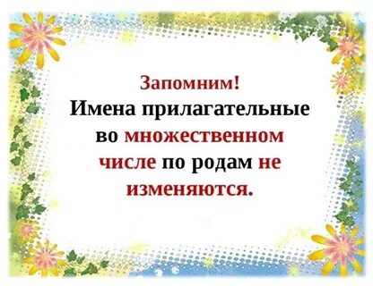 Прилагательные во множественном числе изменяются
