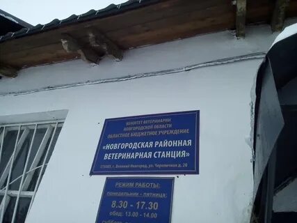 Черепичная ветклиника телефон великий