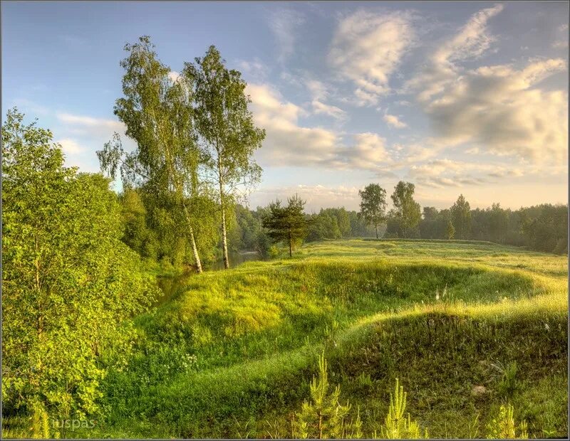 Просторы Родины моей. Природа моей Родины. Красоты нашей Родины