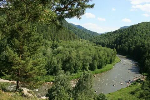 Солоновка алтайский край