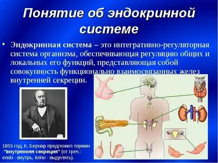 Термин железа