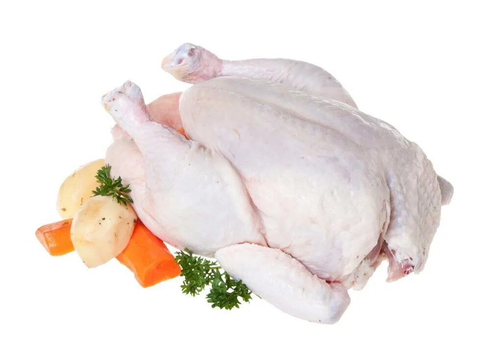 Отварная окорочка. Курица целая. Тушка курицы на прозрачном фоне. Мясо птицы тушка. Курица на прозрачном фоне.