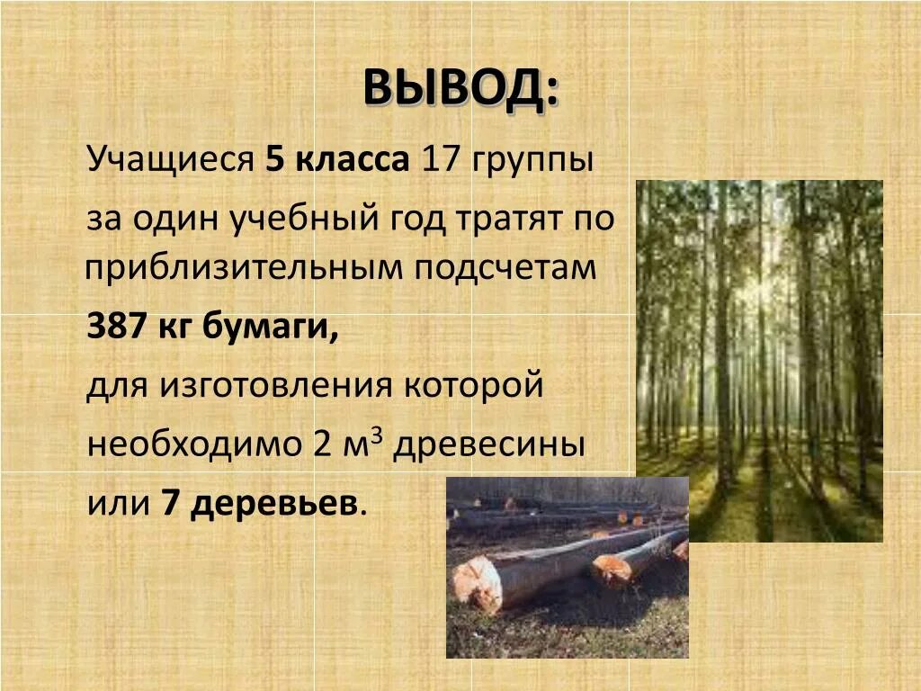 1 лист бумаги сколько деревьев. Сколько нужно древесины для изготовления бумаги. сколько нужно древесины для изготовления 1 кг бумаги. сколько уходит дерева на 1 лист бумаги. сколько нужно деревьев для изготовления 1 листа бумаги.