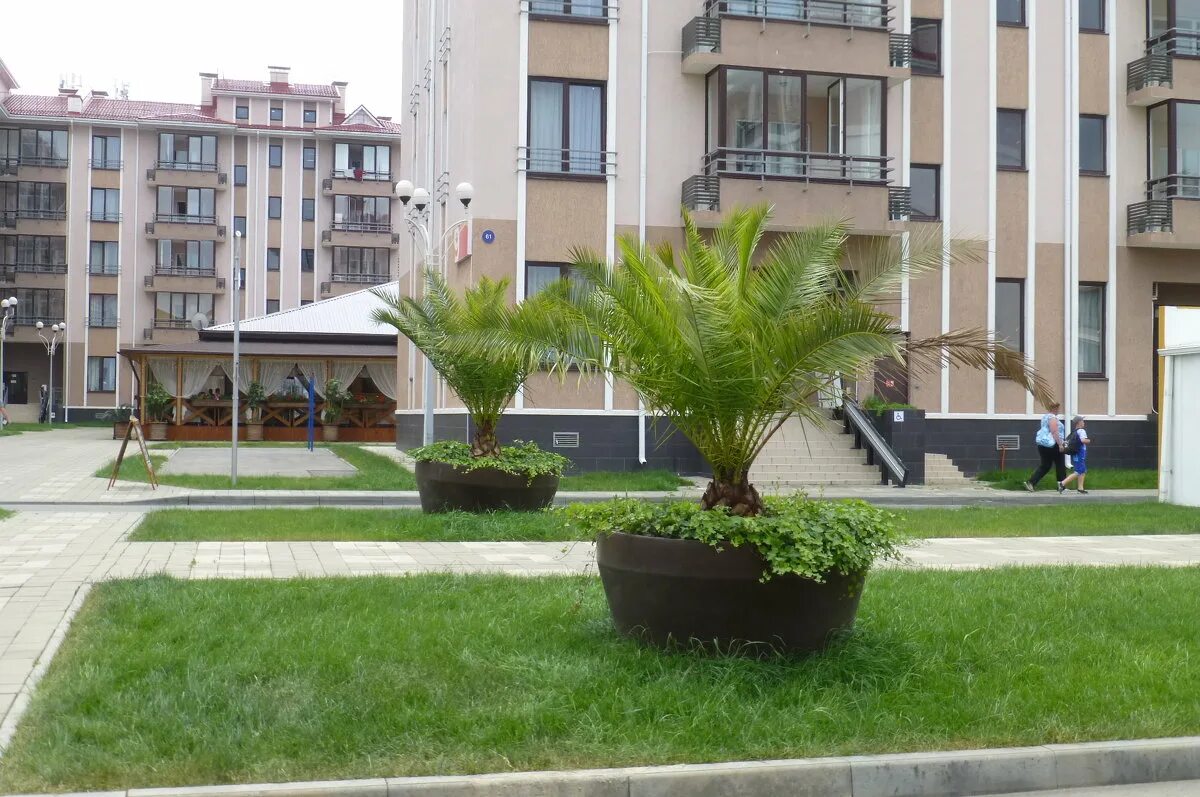 бархатные сезоны спортивный квартал русский дом 17 квартал. бархатные сезоны русский дом 17 спортивный квартал 3 адлер сочи. жилом комплексе александровский сад. Sigma sirius park сочи.