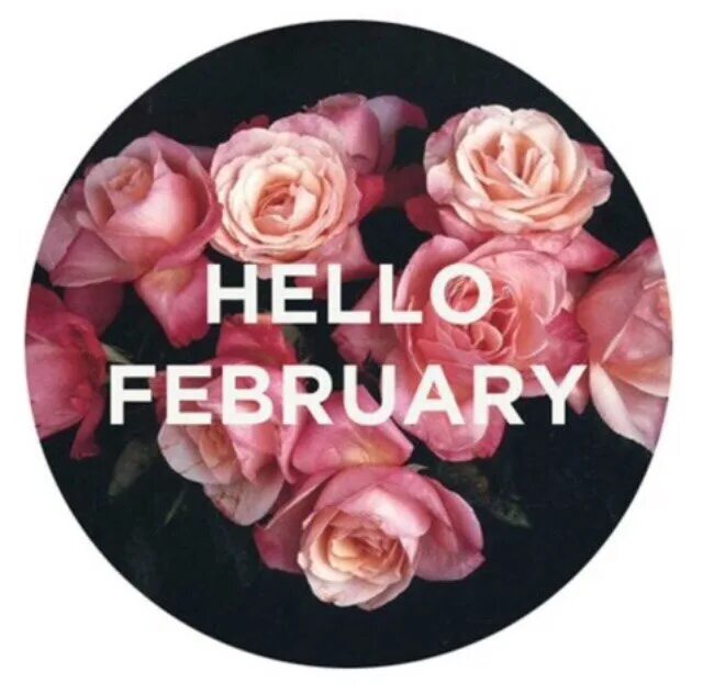 Hello February картинка. Hello февраль. Февраль hello February. Хелло февраль открытка.