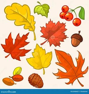 листья красивейшего собрания осени цветастые Иллюстрация вектора - иллюстрации н