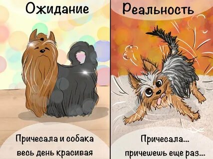 Ожидание реальность новое