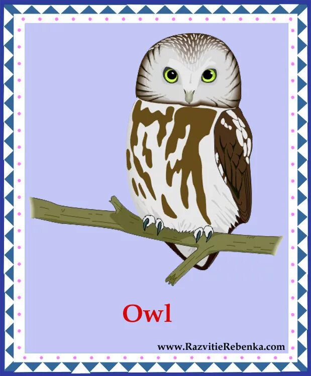 Letter o is for owl. срва по английскому языку. Owl английском. совенок на английском. O is for owl.