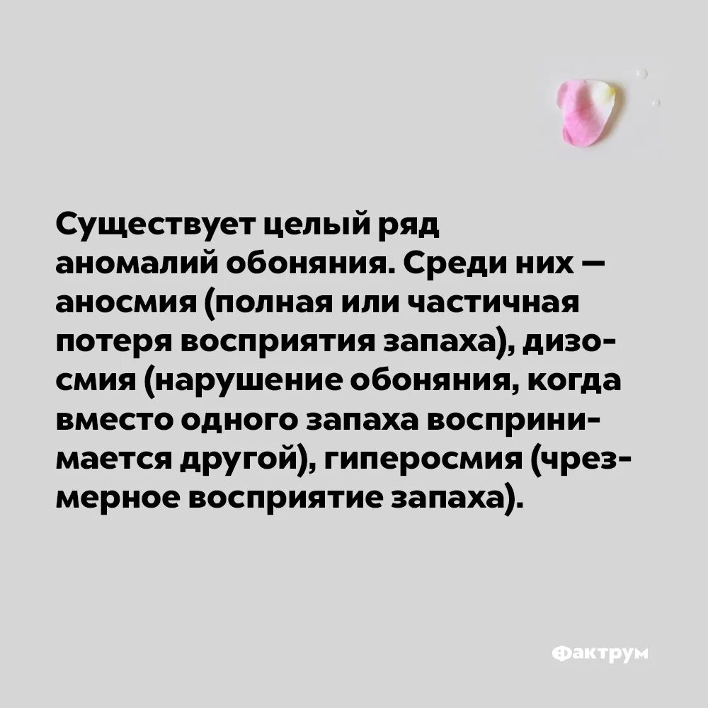 В какой момент человек воспринимает запахи. Дизосмии.