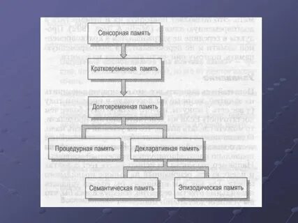 Понятие и определение памяти