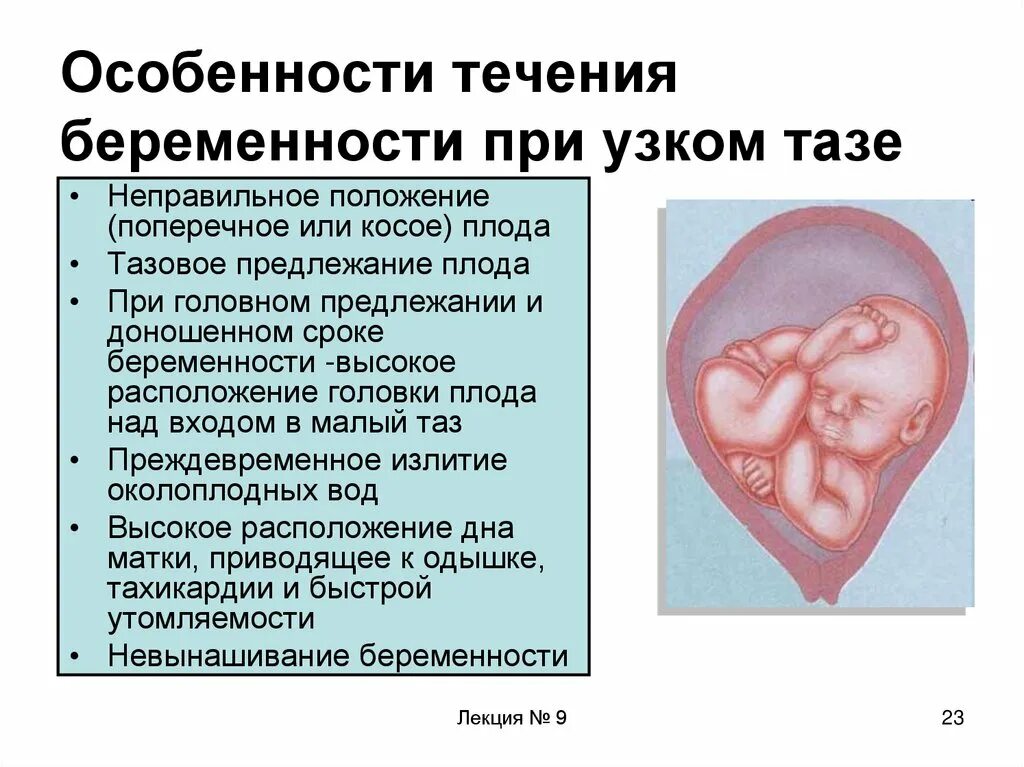 Роды при осложненной беременности. Положение плода поперечное головное. Продольное головное предлежание плода. Продольное поперечное косое положение плода. Продольное положение плода при беременности в 32 недели.