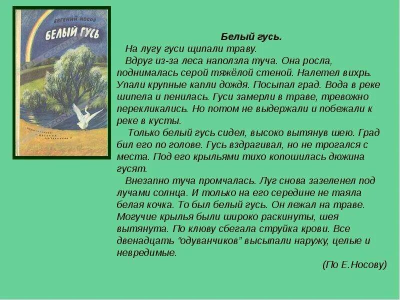 Белый гусь кратко. Белый Гусь Носов изложение. Изложение белый Гусь 5 класс. Белый Гусь изложение 9 класс. Белый Гусь план изложения.