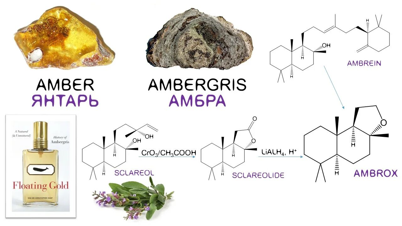 Амбра описание. Парфюм амбре. Амбра и мускус в парфюмерии. Серая амбра в парфюмерии. Амбра формула.