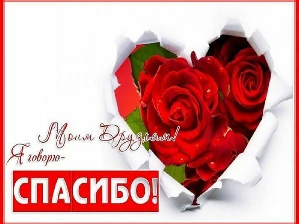 1000 спасибо. Тысяча спасибо. открытка тысяча благодарностей. спасибо за тысячу.