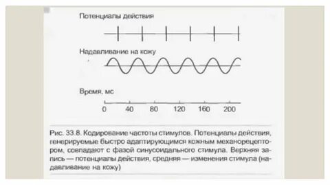 Кодировка в новороссийске
