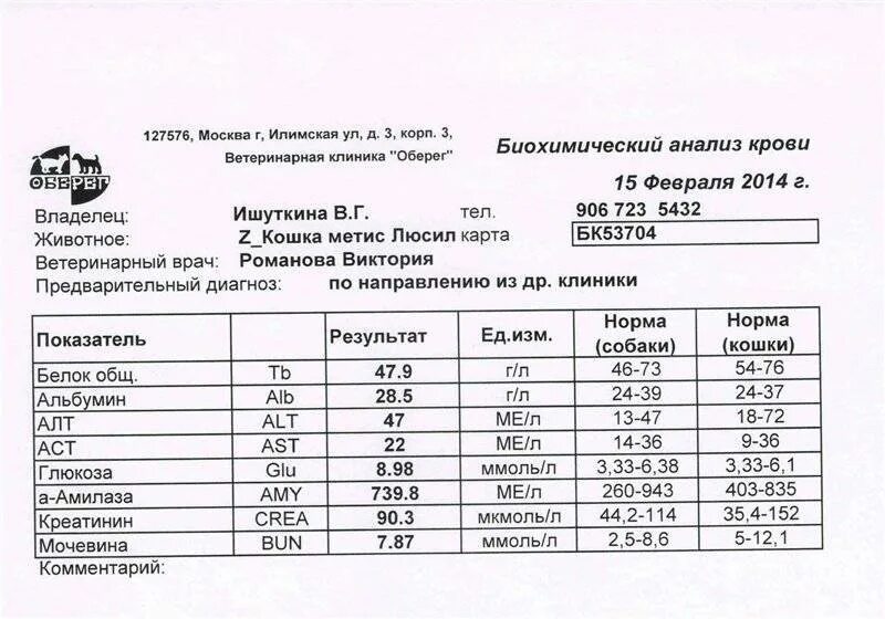 Аст 60 в крови у мужчин. Биохимический анализ крови алт норма. Алт крови норма/АСТ норма. Биохимия анализ крови показатели АСТ что это. АСТ анализ крови норма у женщин.