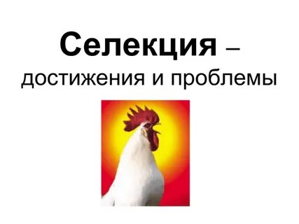 Селекция 5