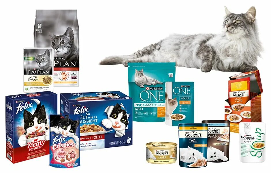 Pets корм для кошек влажный. Пурина Нестле корма для животных. Nestle корма для кошек. Nestle Purina сухой корм. Нестле корма для животных бренды.