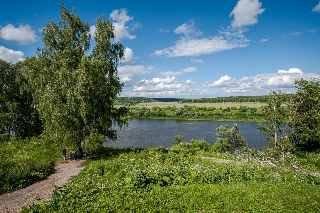 Тарусская область деревня. Река Ока Таруса. Таруса река Таруса. Таруса (река) реки Калужской области. Тарусский район Ока.