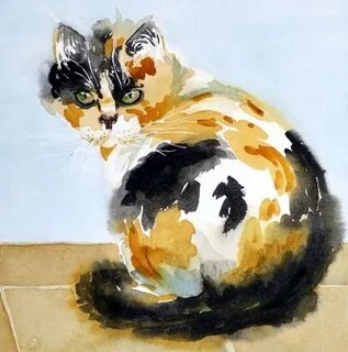 Краски котиков