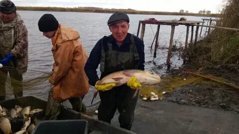 Погода в лопатино самарская область
