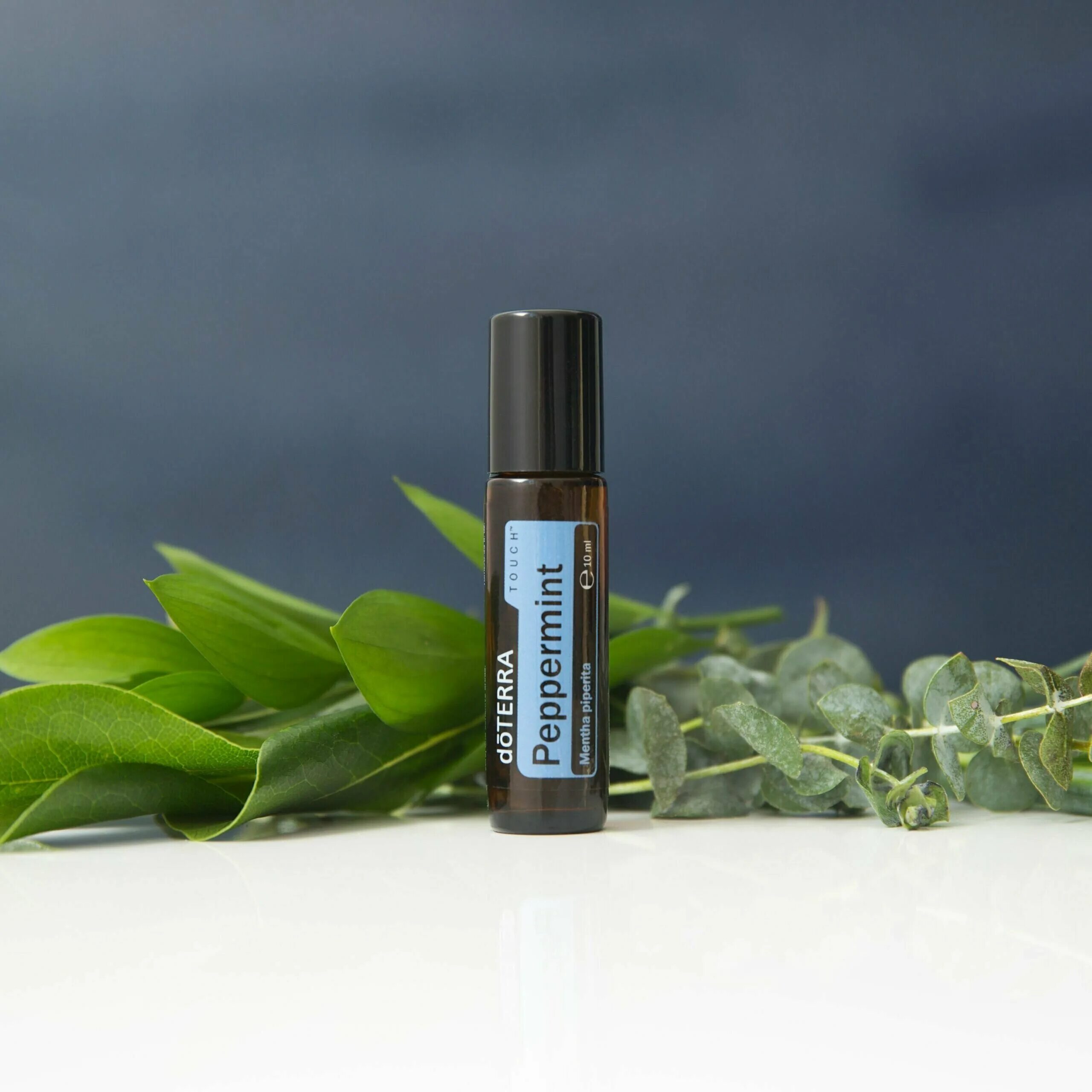 Перечная мята DOTERRA. Перечная мята эфирное масло ДОТЕРРА. Перечная мята роллер ДОТЕРРА. ДОТЕРРА Touch перечная мята.