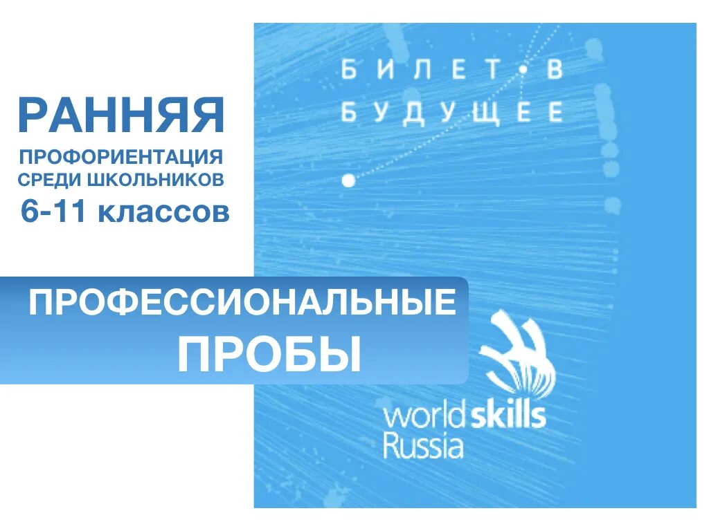 Профминимум 26 октября 2025 8 класс