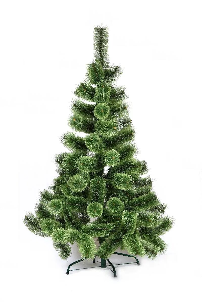 4. Black box ель смолянистая 2. Abies alba pyramidalis. Кремлевская пихта. Как выглядит елочка.